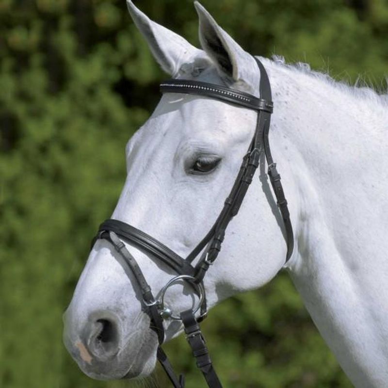 Star bridle Diamond