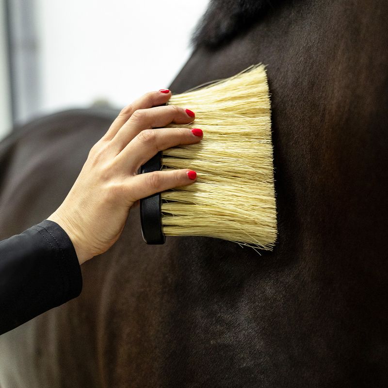 Royal Grooming Set – luksus børstesett til hest