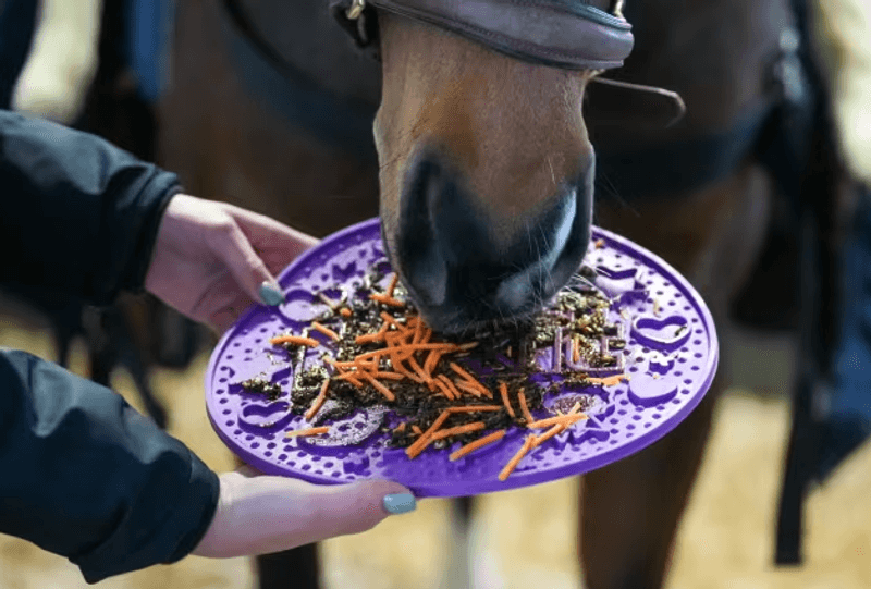 Likit Graze paste