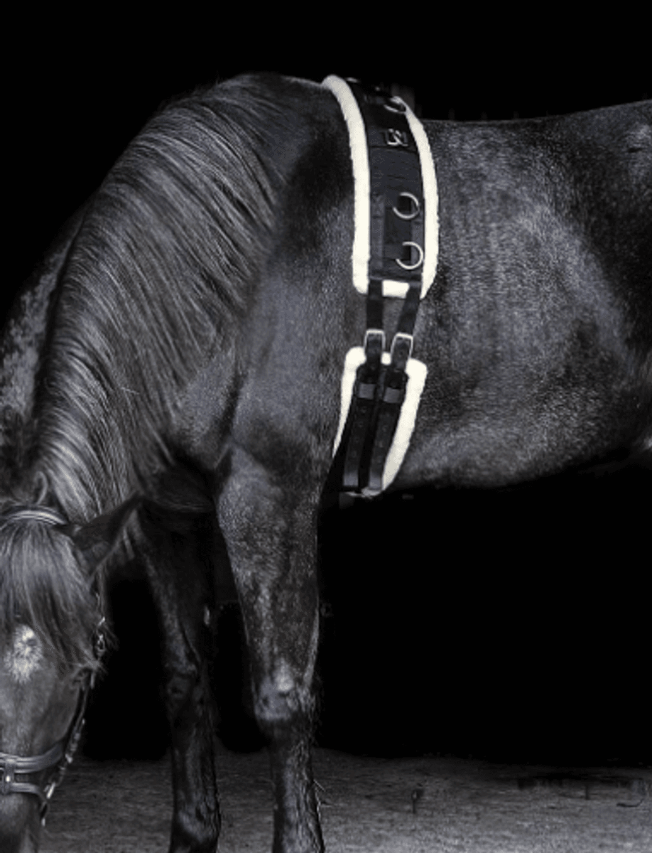 Treningsgjord Globus sport