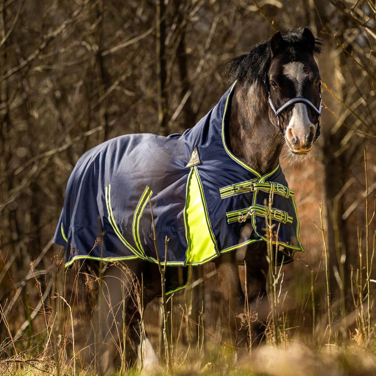 Globus 200g Regn / Utedekken navy