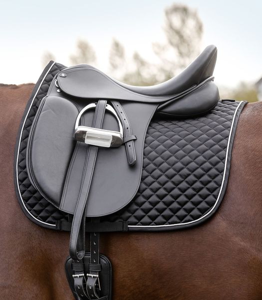 Hovedbilde Schabrak Glam, Dressur