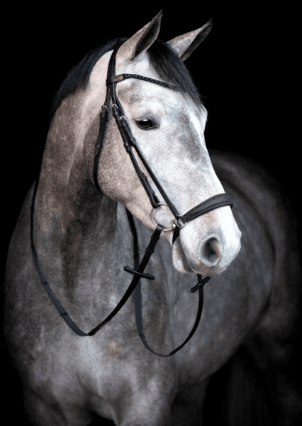 Hovedbilde HG Cryll 24.2 trense ...