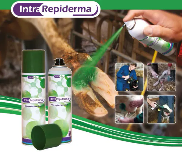 Hovedbilde Intra Repiderma sårspray