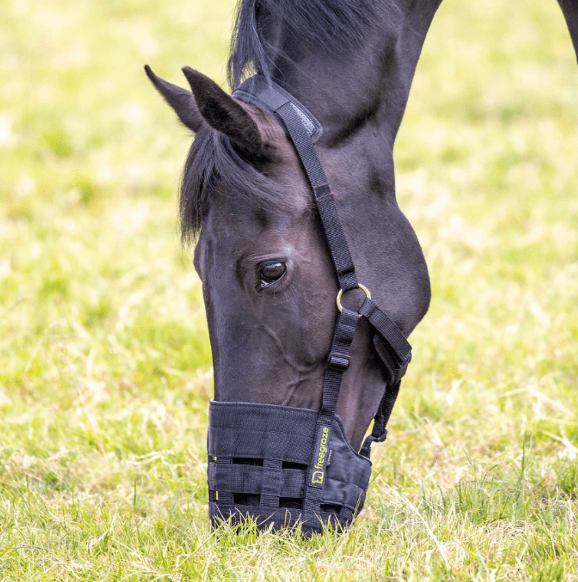Freegraze gressemaske