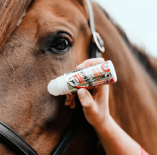 Hovedbilde Power Phaser Roll on 