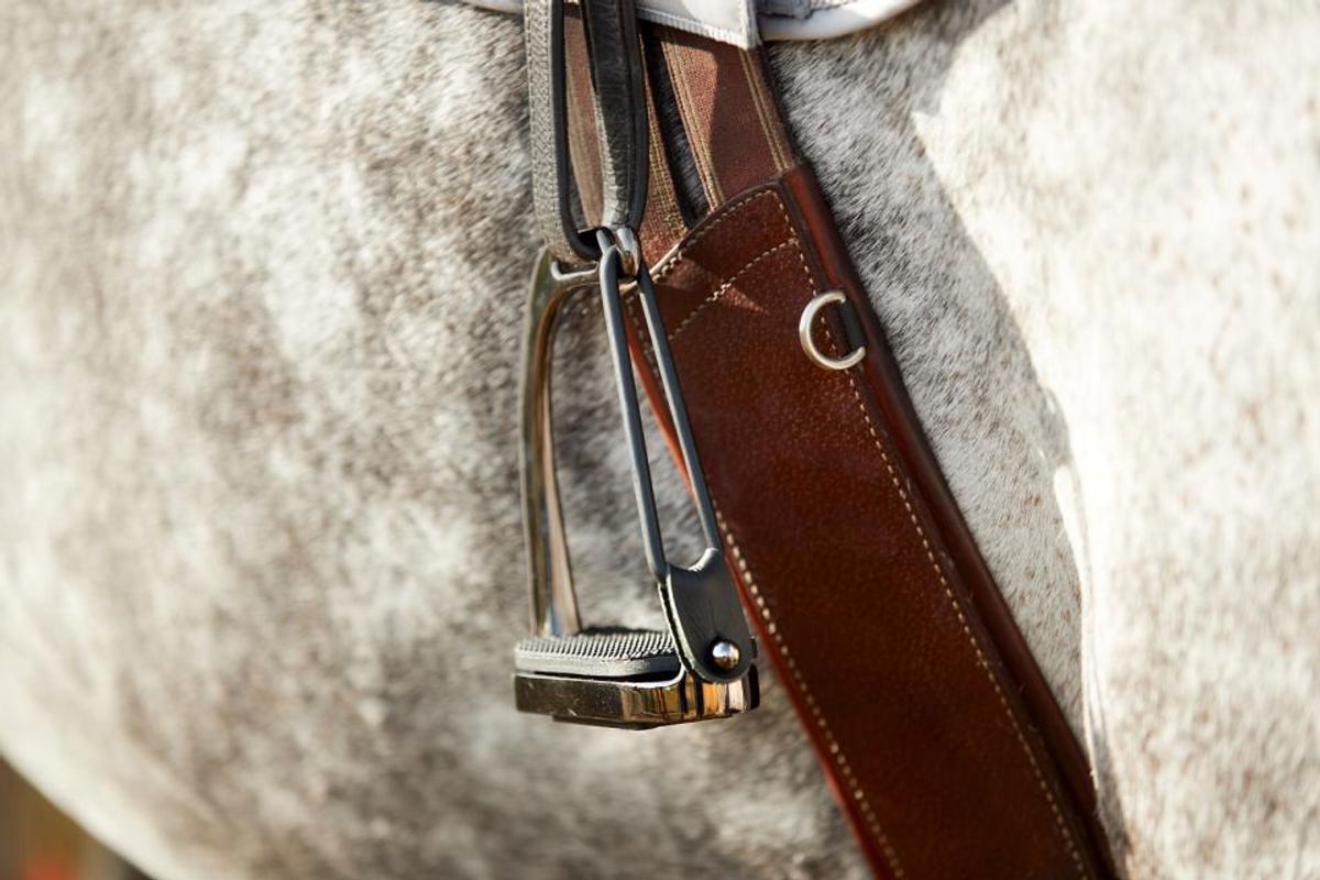 Sikkerhets stigbøyle Gunmetall 