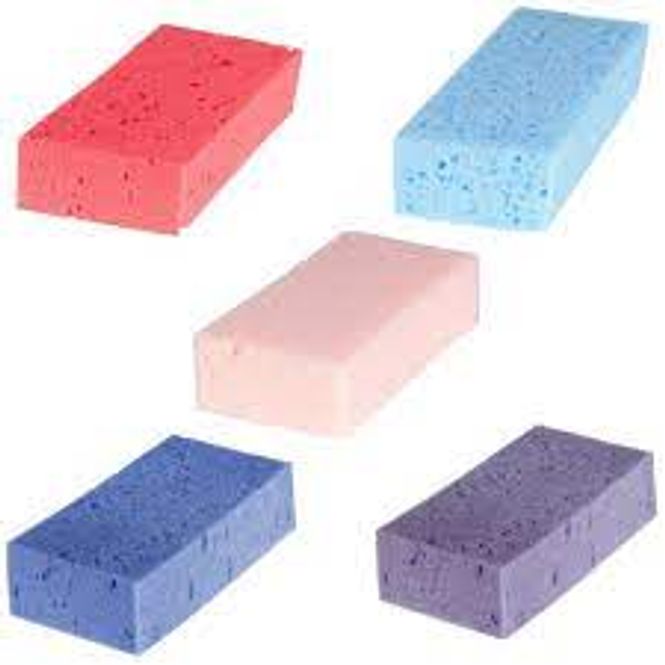 Hovedbilde Absorberende svamp