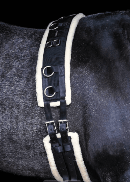 Hovedbilde Treningsgjord Globus sport