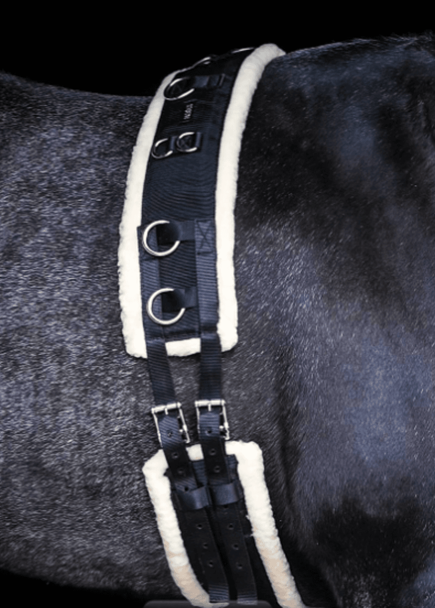 Treningsgjord Globus sport