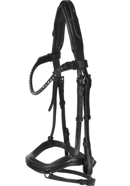 Hovedbilde Catago Runa islandshest ...